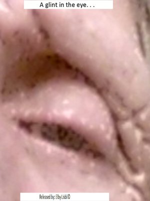 cover image of A Glint in the Eye. . .